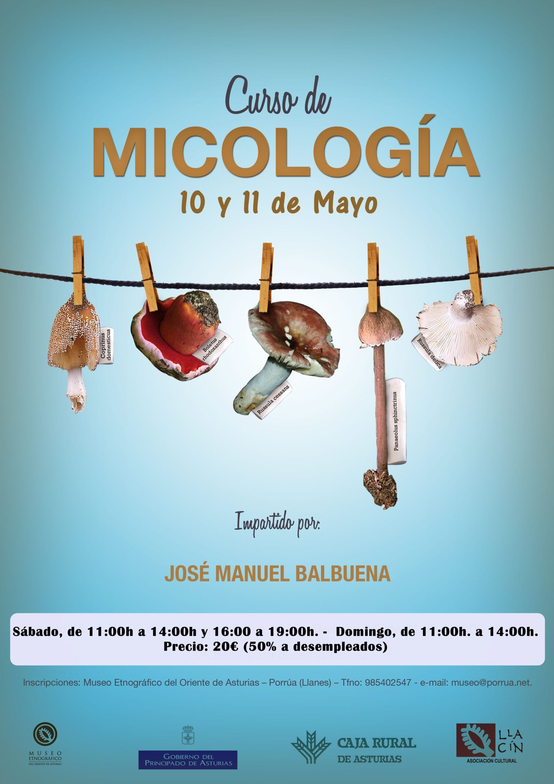 curso micologia
