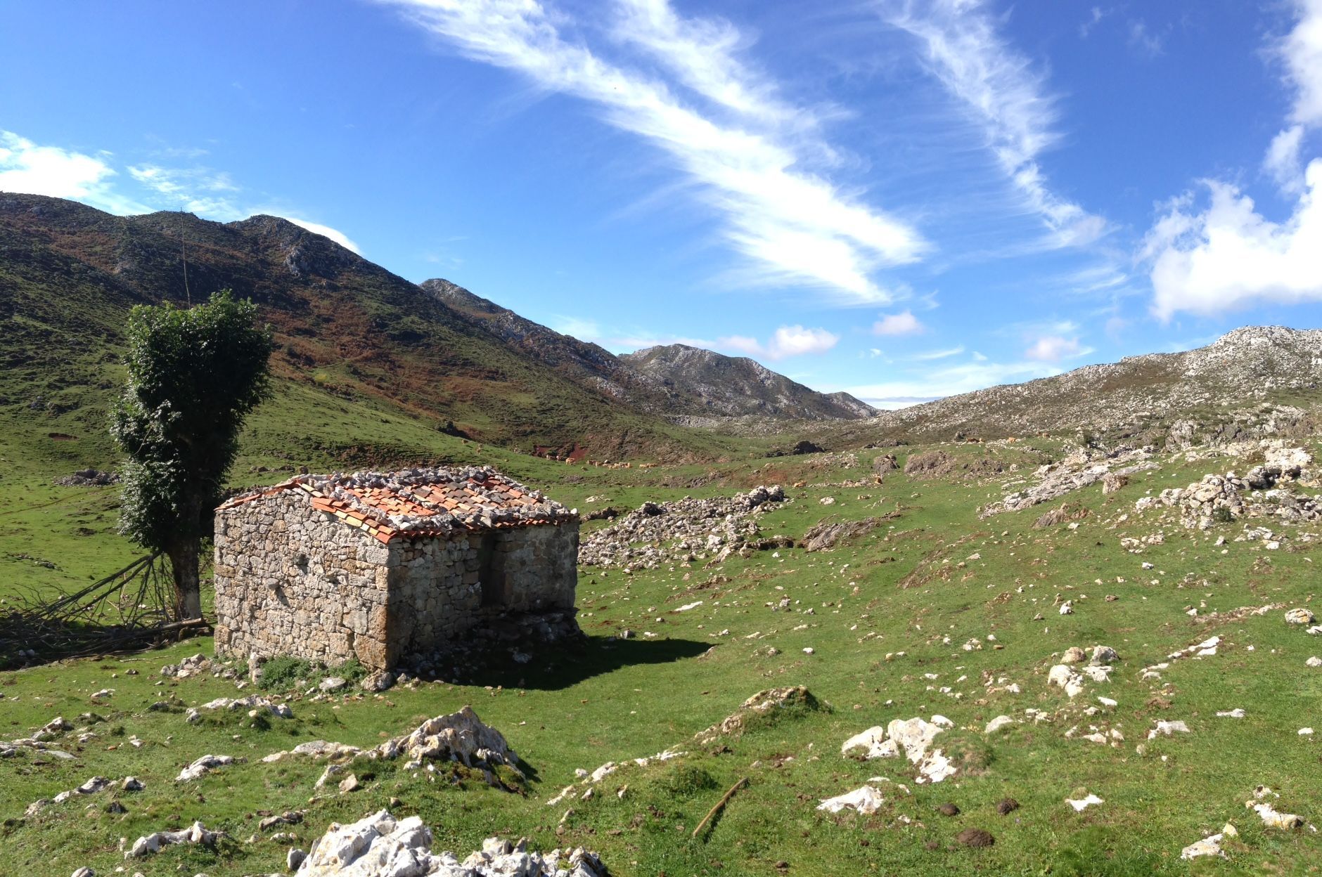 Cuera Tornallás