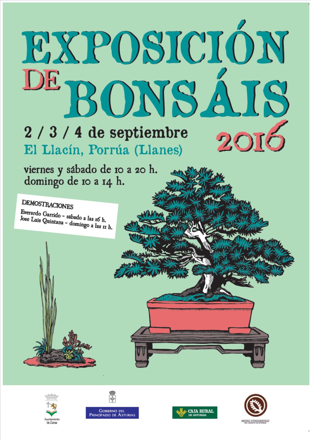 cartel bonsai 16