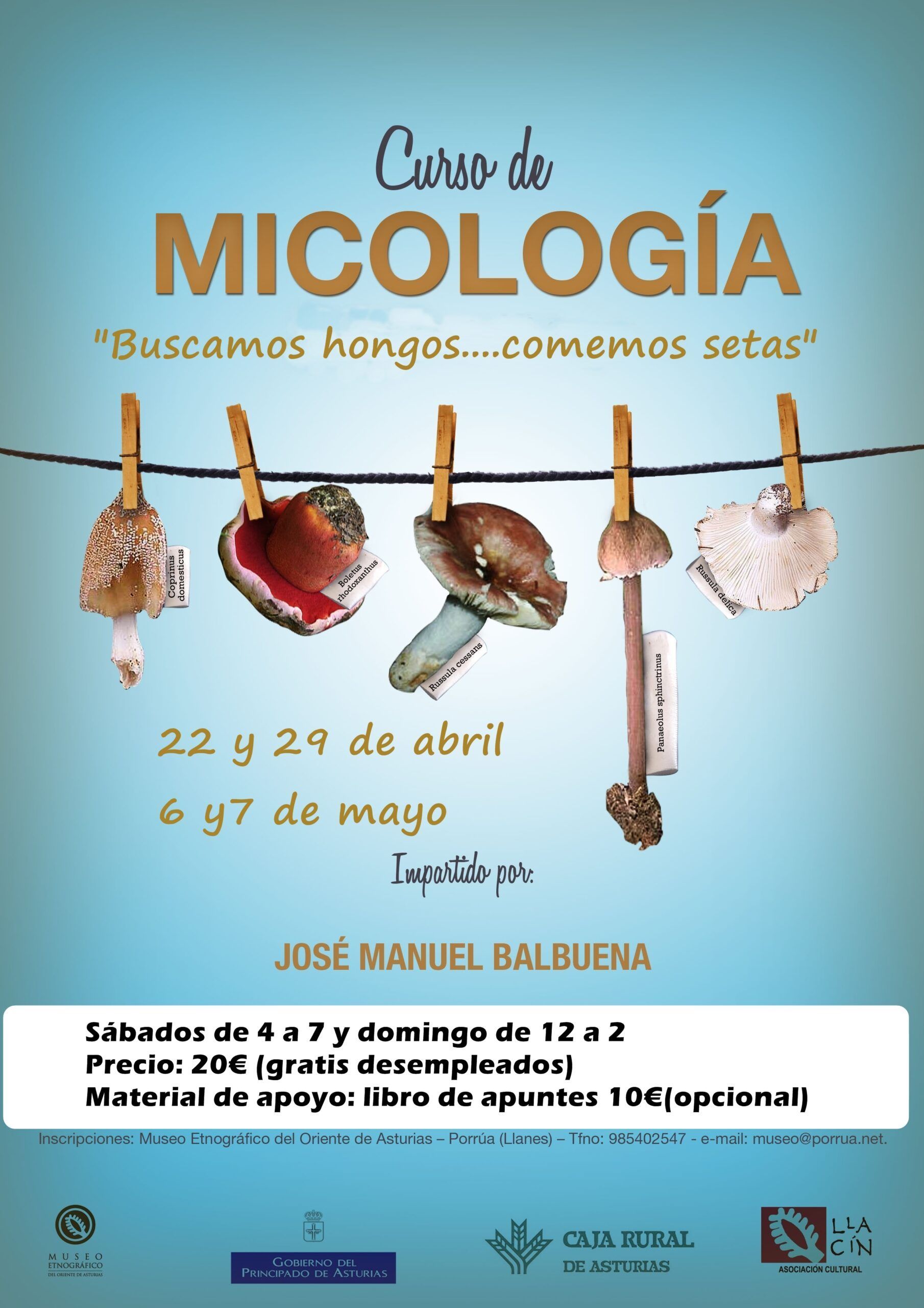 curso micologia 17