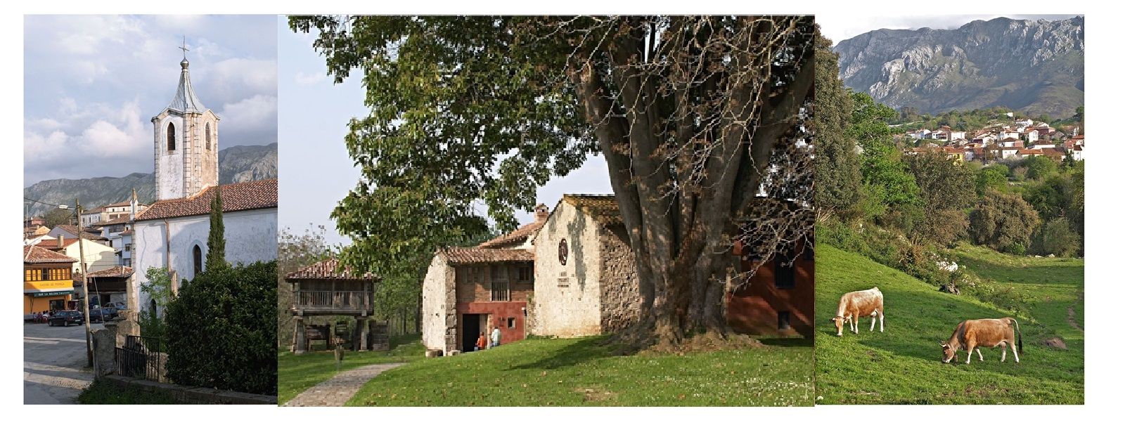 collage museo porrua llacin