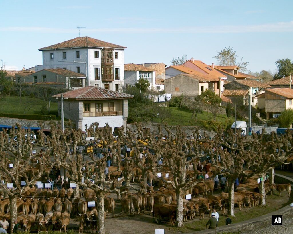 Feria vacas