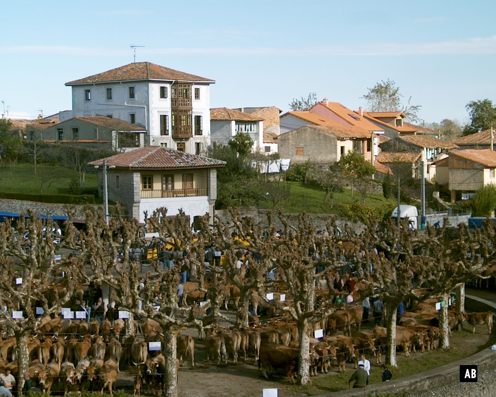 Feria vacas