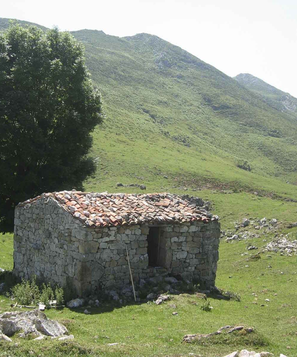 Tornallas Cuera
